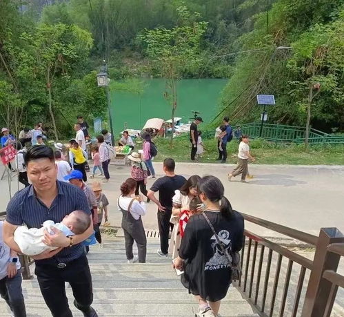 金城江区五一期间旅游消费破8420万元 山水旅游持续迸发活力，休闲观光活动受热捧