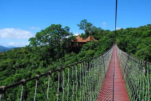 收拾行李来三亚吧 三亚旅游攻略走心整理，你一定想要