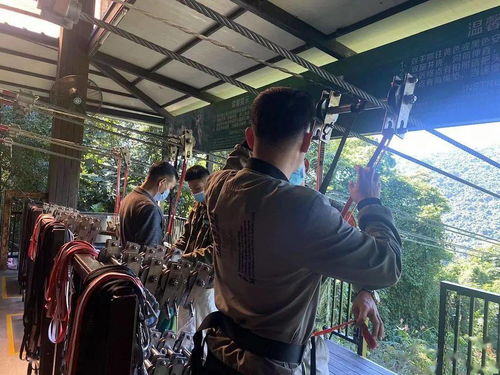三亚维景国际度假酒店工会会员健康游普惠活动 休闲观光之旅，开启职场与自然的完美融合