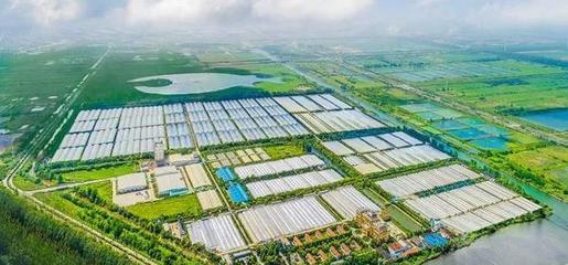 华为助力全球最大河豚养殖基地全产业链低碳化