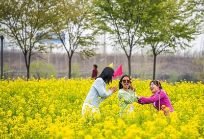 以花为媒 霓裳九州,兖州区第五届油菜花节开幕